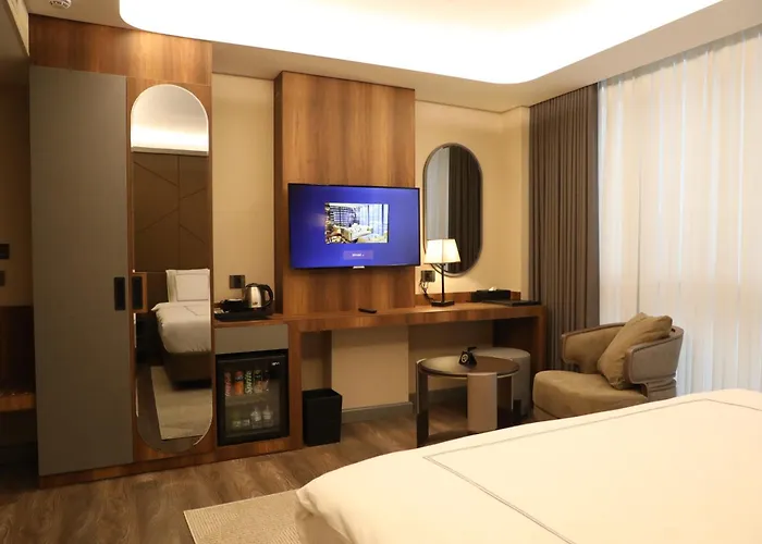 Pl Managed By Dedeman 酒店 伊斯坦布尔